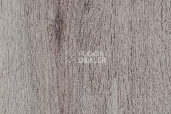 Плитка ПВХ Forbo Allura Decibel 8WHA01-3WHA01 winter harvest oak фото 1 | FLOORDEALER